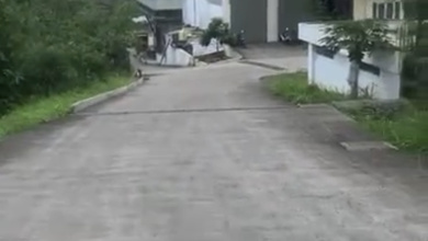 For Sale Tanah Eksklusif di Citeureup, Bogor, LT 14000m²