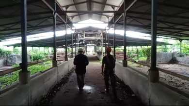 Kavling Prestisius Dijual di Bogor Barat, Bogor, Harga 8250 Triliun