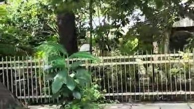 For Sale Tanah Premium di Cempaka Putih, Jakarta Pusat, LT 1300m²