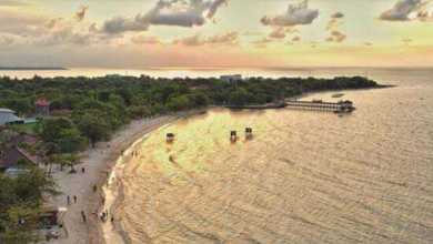 Tanah Strategis di Jepara, Jepara, Harga 120 Juta