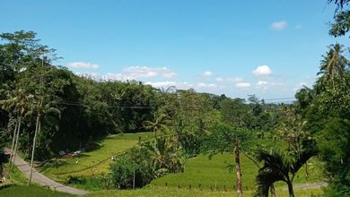 Kavling Prestisius Dijual di Ubud, Gianyar, Harga 18 Miliar