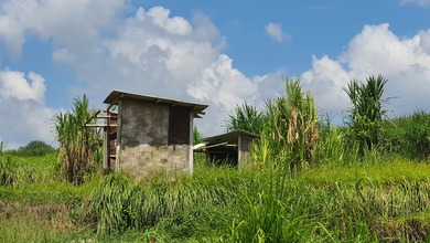 Tanah Nyaman untuk Hunian di Ubud, Gianyar, Luas 250m²