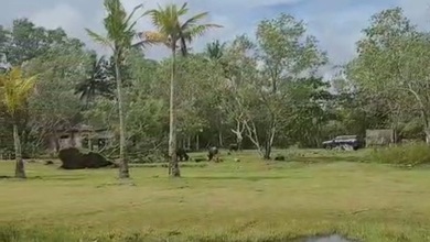 For Sale Tanah Eksklusif di Tanjung Lesung, Pandeglang, LT 41666m²