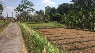 Kesempatan Tanah Murah di Denpasar Timur, Denpasar, Luas 1500m²