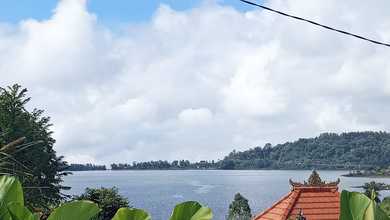 Kesempatan Tanah Murah di Bedugul, Tabanan, Luas 890m²