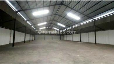 DiSewakan Murah GUDANG BARU BESAR KAPUK PETERNAKAN 