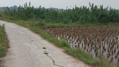 For Sale Tanah Premium di Jonggol, Bogor, LT 600m²