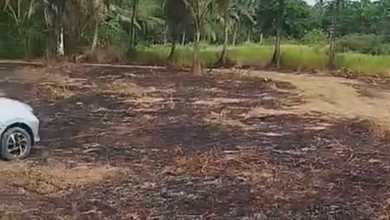 Dijual Tanah Eksklusif di Pandeglang, Pandeglang, LT 50000m²