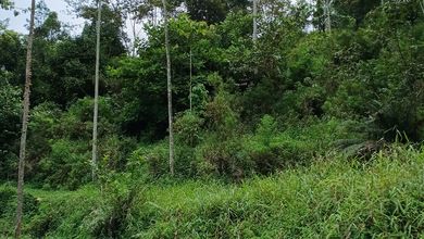 Tanah Elit Dijual di Purwakarta, Purwakarta, Harga 8,8 Miliar