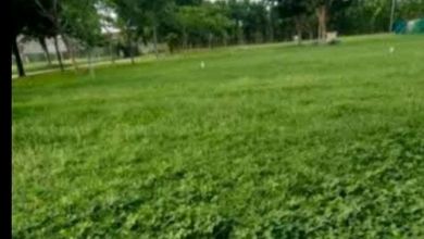 Jual Tanah di Lokasi Premium Margomulyo, Surabaya, Harga 1,8 Miliar