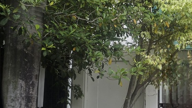 Hunian Prestisius di Kawasan Ancol, Jakarta Utara, LB 325m², Harga 7,25 Miliar