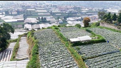 For Sale Tanah Eksklusif di Lembang, Bandung Barat, LT 22000m²