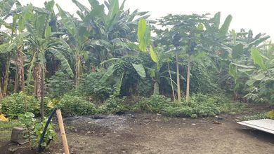 Tanah Dekat Komersil Area Narogong, Ideal untuk Mendirikan Usaha