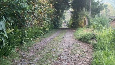 For Sale Tanah Premium di Ciawi, Bogor, LT 6523m²