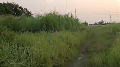 Tanah Elit Dijual di Karawang Barat, Karawang, Harga 150 Miliar