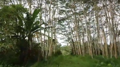 Tanah Siap Bangun Lokasi Komplek Semarang Barat Semarang