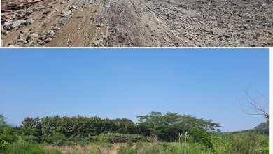 Tanah Kosong Dekat Jalan 250000 m2 Siap Disewa