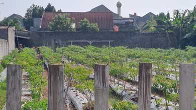 Tanah Ideal untuk Hunian di Ciomas, Bogor, Luas 1282m²