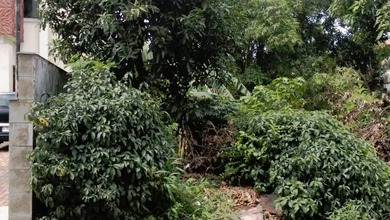 Sewa Tanah Terjangkau di Pondok Aren, Tangerang Selatan, LT 1020m²