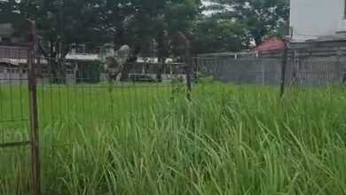 Kavling Prestisius Dijual di Lippo Karawaci, Tangerang, Harga 75 Miliar