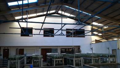 Di Jual Cepat Gudang Hitung Tanah Saja Di Kalideres 4000.0 m²