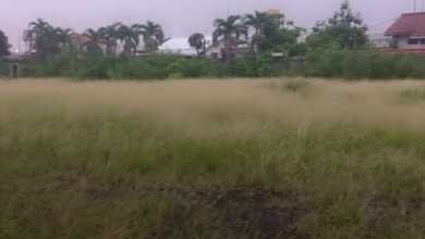 Tanah Kosong Pinggir Jalan 7357 m2 Siap Disewa