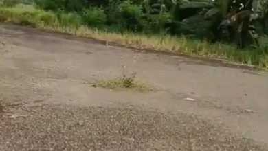 Disewakan Tanah Premium di Grand Wisata, Bekasi, LT 40000m²