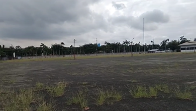 Tanah Tidak Terpakai Dekat Jalan 54000 m2 Siap Disewa