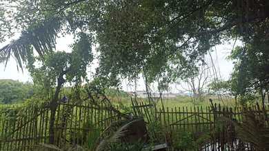 Tanah Elit Dijual di Losari, Brebes, Harga 6,55 Miliar