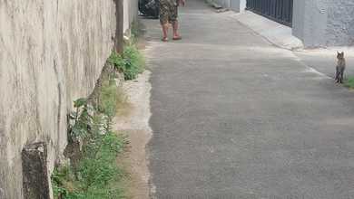 Kavling Komplek x  Area Tanjung Duren