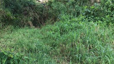 Kavling Prestisius Dijual di Wonosari, Klaten, Harga 19,7 Miliar