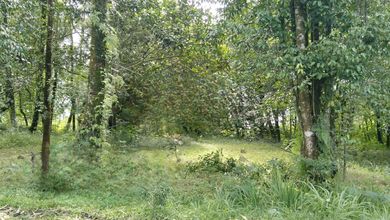 For Sale Tanah Premium di Sleman, Sleman, LT 2805m²