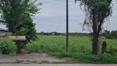 Jual Tanah Terjangkau di Area Mojokerto, Mojokerto