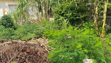 Sewa Tanah Strategis di Kapuk Kamal, Jakarta Barat, Lokasi Prime