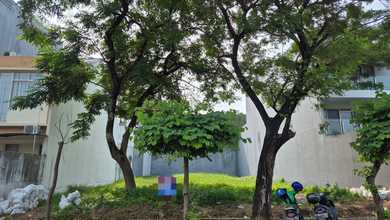 Dijual Tanah Eksklusif di Kapuk Muara, Jakarta Utara, LT 574m²