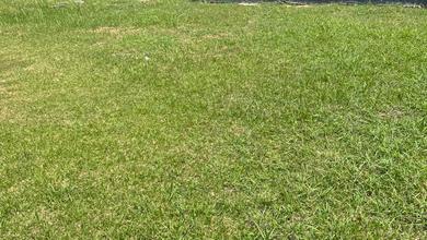 Kavling Prestisius Dijual di Pantai Indah Kapuk 2, Jakarta Utara, Harga 20,2 Miliar