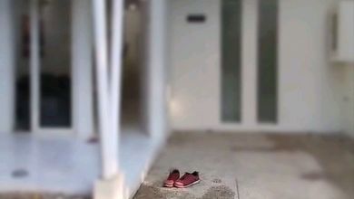 Kontrakan Murah di Pakuwon City, Surabaya, 2 KT, Harga 60 Juta /tahun