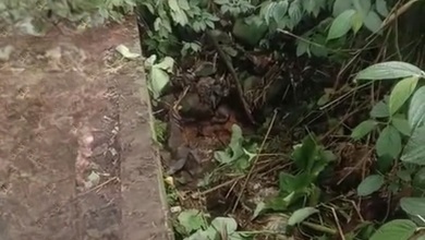 Tanah Dekat Pasar Area Cijeruk, Cocok untuk Mendirikan Usaha