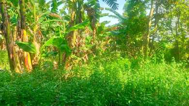 Dijual Tanah Eksklusif di Curug, Tangerang, LT 10000m²