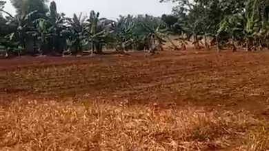 Kavling Prestisius Dijual di Cisauk, Tangerang, Harga 71,7 Miliar