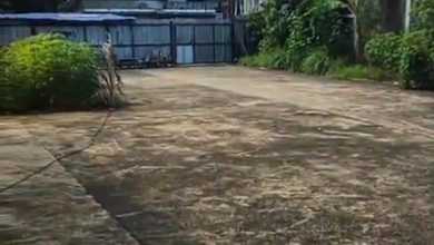 Tanah Komersial Elit Disewakan di Kawasan Ciputat, Harga 1,4 Triliun