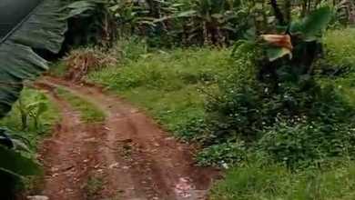 For Sale Tanah Eksklusif di Legok, Tangerang, LT 70605m²