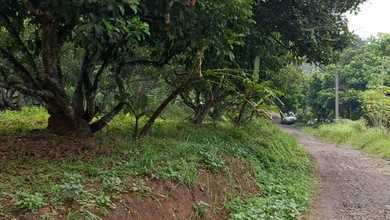 For Sale Tanah Premium di Curugbitung, Lebak, LT 1960m²