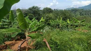 Tanah Dekat Pasar Area Bogor Timur, Cocok untuk Buka Usaha