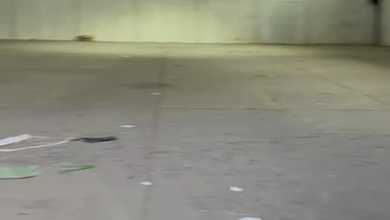 Gudang Karawaci, Tangerang Kota LB 864M²