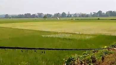 For Sale Tanah Premium di Cikande, Serang, LT 2000000m²