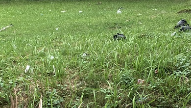 Kavling Cluster x  Kawasan Menteng