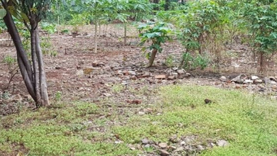 Tanah Elit Dijual di Kebayoran Baru, Jakarta Selatan, Harga 8,06 Triliun