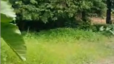 Kavling Cluster x  Area Fatmawati