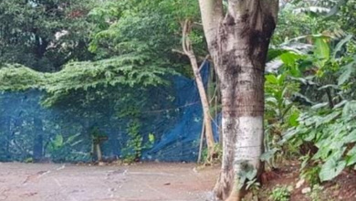 Tanah Elit Dijual di Palmerah, Jakarta Barat, Harga 17,1 Triliun